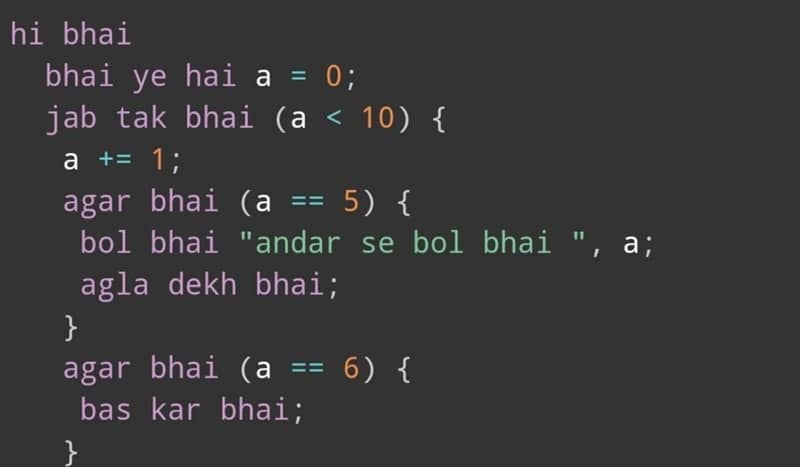 Bhai Lang New Programming Language by 2 Indians Goes Viral - 73