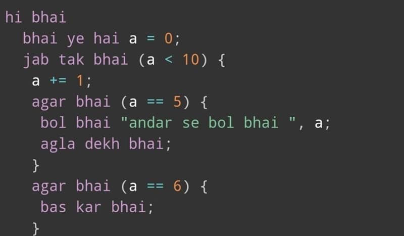  Bhai Lang  New Programming Language by 2 Indians Goes Viral - 23