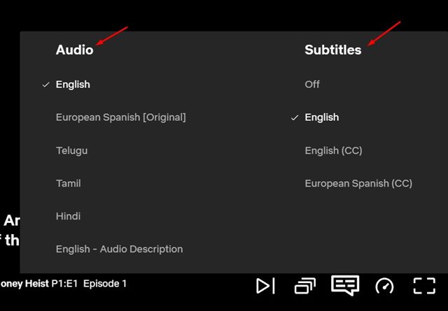 change the audio & subtitle language