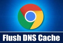 Clear/Flush Google Chrome DNS Cache in Windows 11