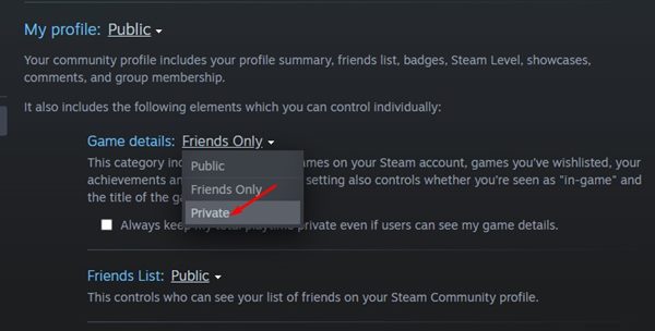 How to Hide Your Gaming Activity From Friends on Steam - 40