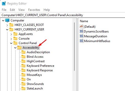 HKEY_CURRENT_USER\Control Panel\Accessibility