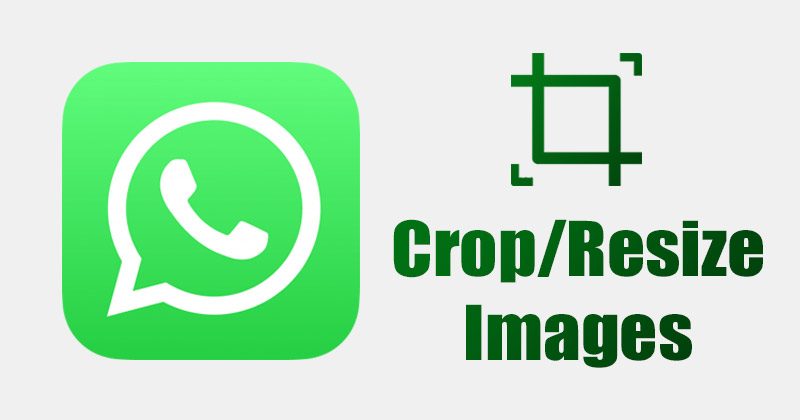 How to Crop or Resize Images on WhatsApp in 2022 - 35