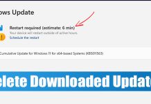 How to Delete Downloaded and Pending Updates in Windows 11