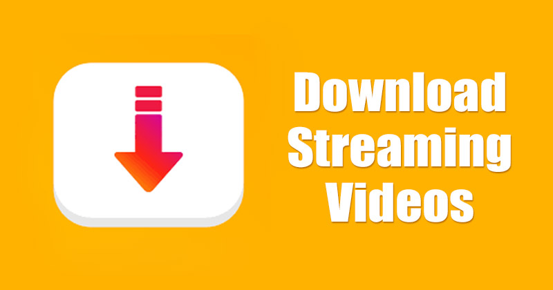 How to Download Streaming Videos from Websites