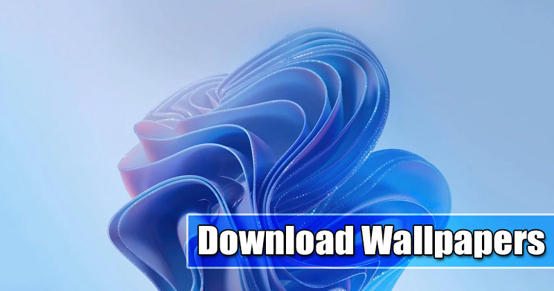 Download Windows 365 Wallpapers