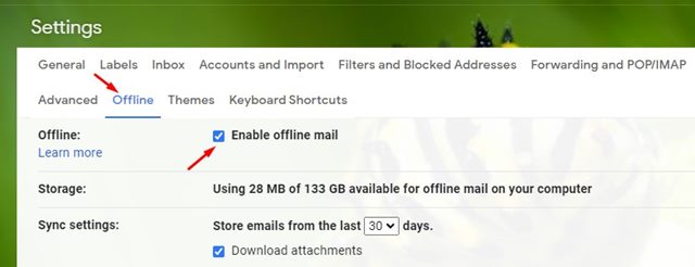 check the 'Enable offline mail' option