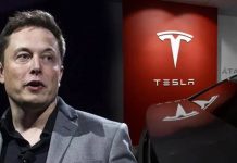 List of Companies Owned by Elon Musk Till Now