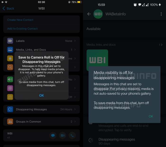 WhatsApp Disables Auto Save Media For Disappearing Messages - 35