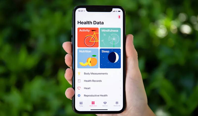 Apple Working on a New Groceries Service with The Health App Integration