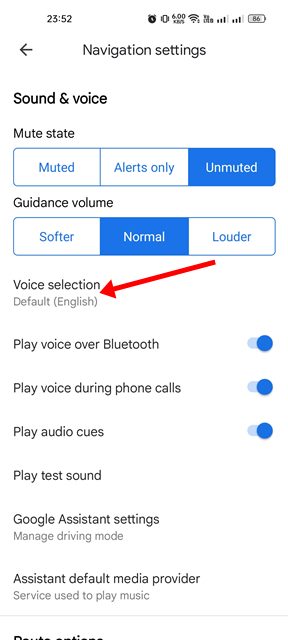 Voice selection