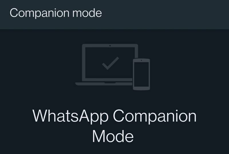 WhatsApp Started Testing a Companion Mode for Multi device - 52