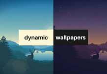 How to Get Dynamic Wallpapers on Windows 11