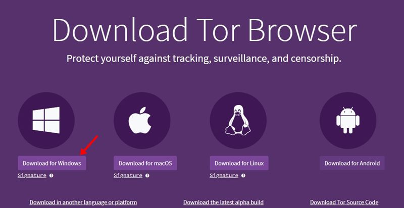 töltse le a Tor Browser legújabb verzióját