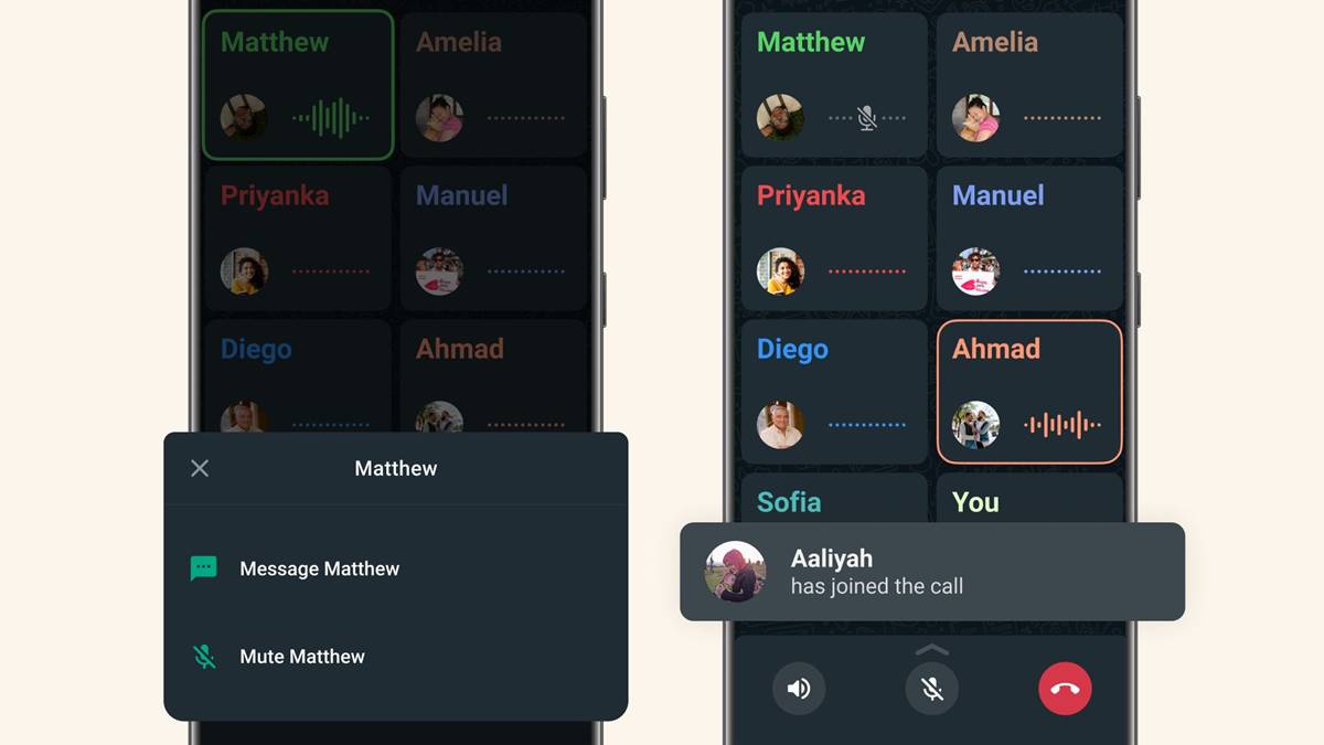 WhatsApp Now Allows You Mute or Message a Person in Group Call