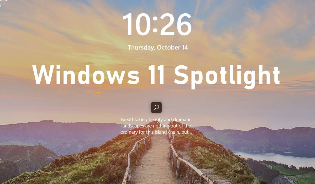 Windows 11 Users Got Windows Spotlight in Latest Build 22000.739