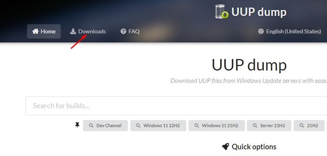 How to Use UUP Dump to Download Windows 11 ISO File - 25