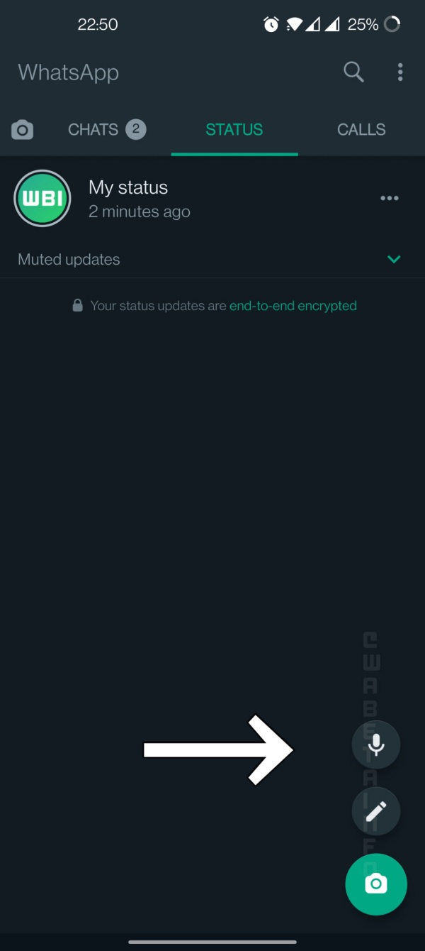 Soon WhatsApp Will Allow To Share Voice Notes As Status - 1