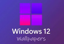 Download Windows 12 Wallpapers