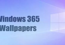 Download Windows 365 Wallpapers