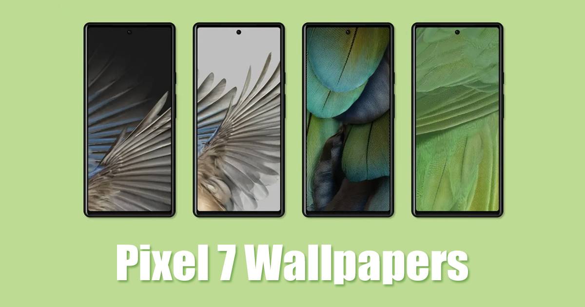 Download Pixel 7 and Pixel 7 Pro Wallpapers