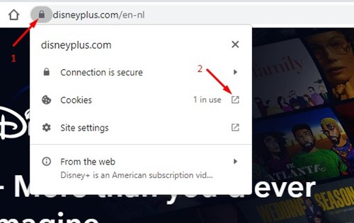 Fix Disney Plus Stuck on Loading Screen on Web Browser