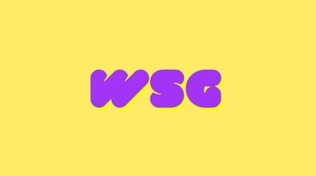 O que significa WSG?