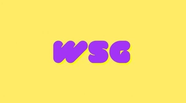 What Does WSG Mean on Snapchat  TikTok  and Messages  - 2