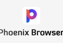 Download & Use Phoenix Browser on Windows 11