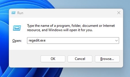 Enable Chrome Update from the Windows Registry