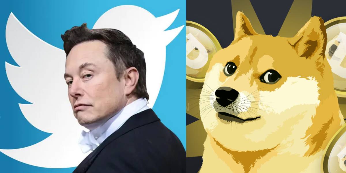 Elon Musk substituiu o logotipo de pássaro do Twitter por 'Shiba Inu Dog'