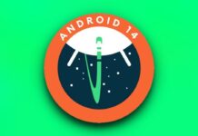 Google Rolls Out First Beta of Android 14