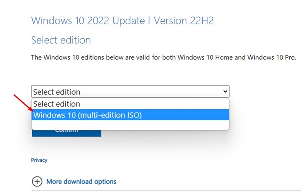 Windows 10 (Multi-edition ISO)