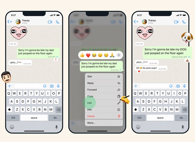 Editar mensajes de WhatsApp en iPhone