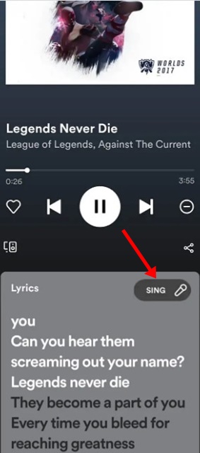 Use Spotify Karaoke Mode