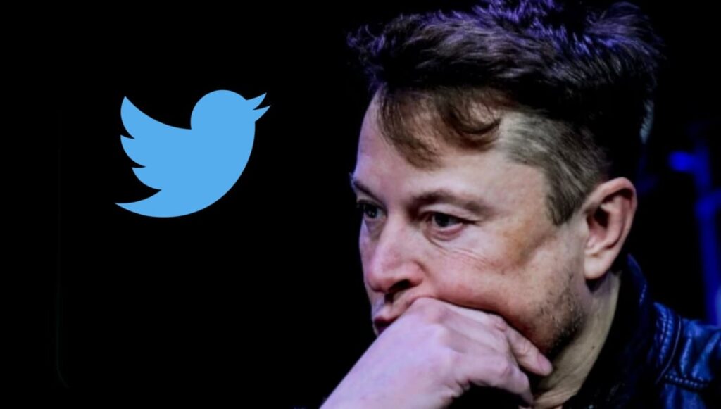 Elon Musk afirma que a receita de anúncios do Twitter caiu em 50