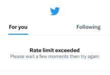 How to Bypass Twitter Rate Limit