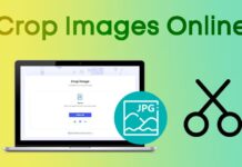 Free Online Image Cropper: 10 Best Sites to Crop Photos