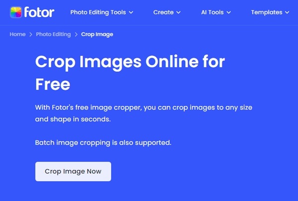 Free Online Image Cropper: 10 Best Sites to Crop Photos – MSI Net, Inc ...