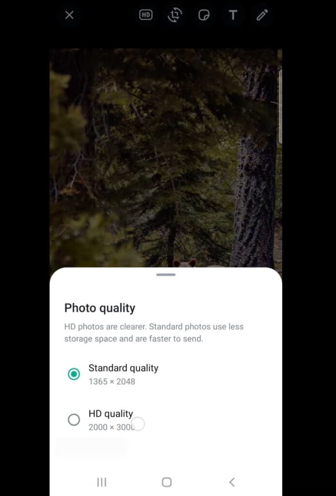 WhatsApp agora permitirá que usuários enviem fotos com qualidade HD