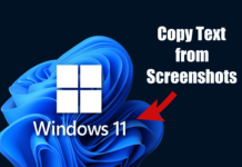 How to Copy Text from Screenshots on Windows 11