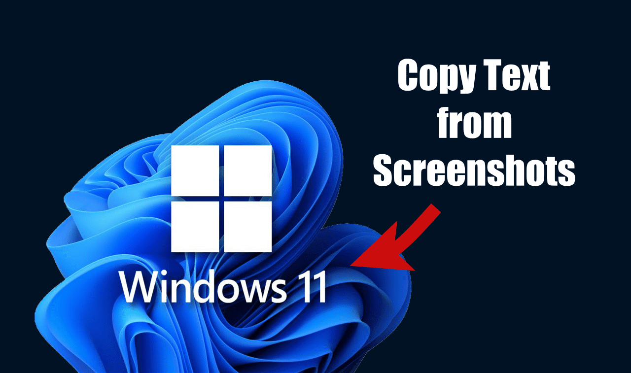 如何在 Windows 11 上从屏幕截图复制文本（3 种方法）