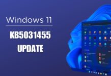 Windows 11's KB5031455 Update (Direct Download)