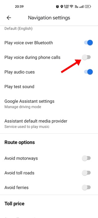 Play Voice during phone calls