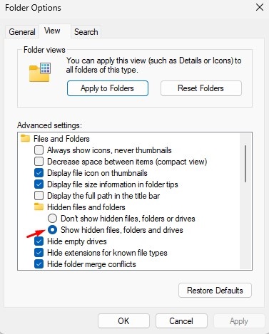 Show hidden files, folders, and drive