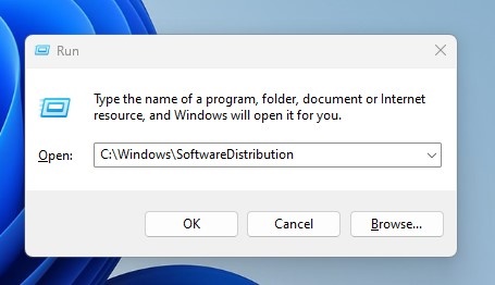 C:\Windows\Distribuzione Software
