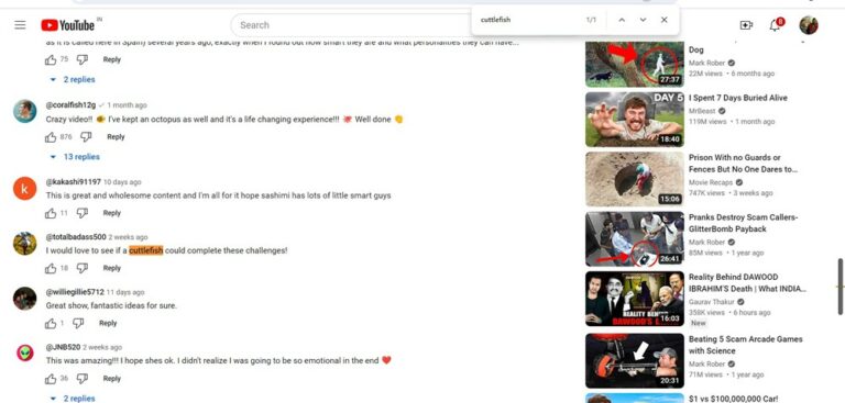 Search Anything Comment How to Search for YouTube Comments (2 Methods)
