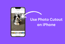 Create photo cutouts on your iPhone