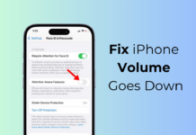 Fix iPhone Volume Goes Down
