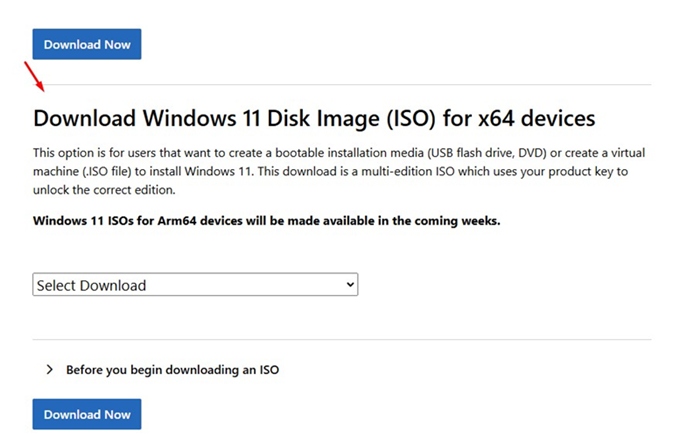 Download Windows 11 Disk Image ISO